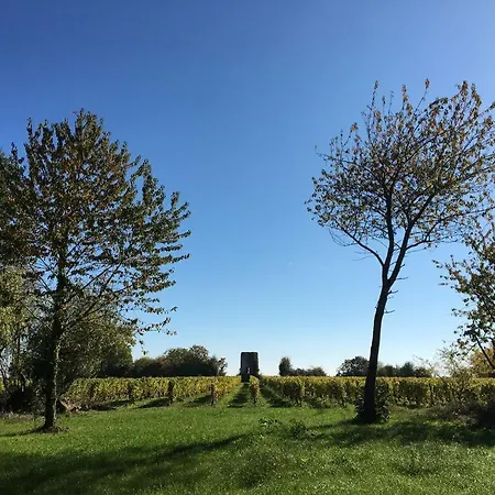 Maison De Famille Au Coeur De Son Vignoble
