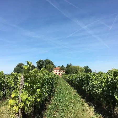 Maison De Famille Au Coeur De Son Vignoble Lorignac
